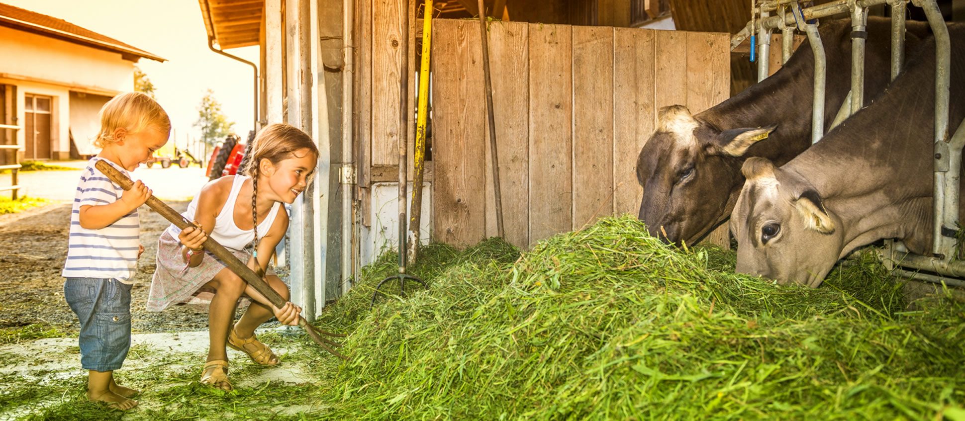 Kinder beim Kühe füttern am Bio-Bauernhof Bachrain (© Urlaub am Bauernhof)