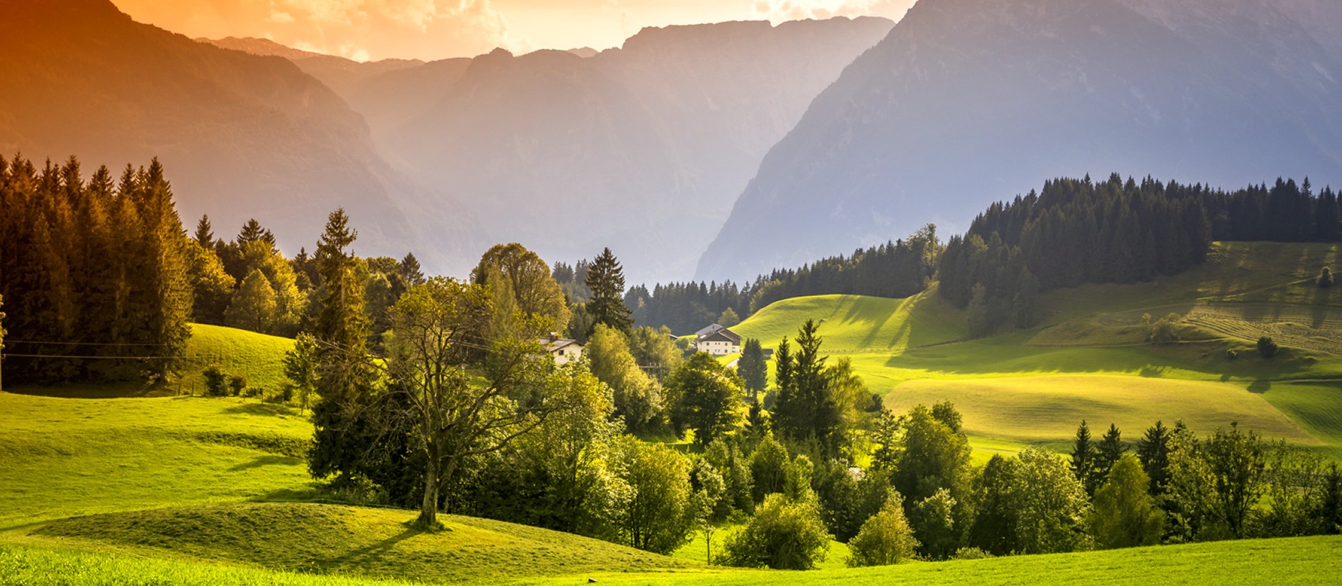 Sommeridylle am Bio-Berggasthof Bachrain (© Urlaub am Bauernhof)